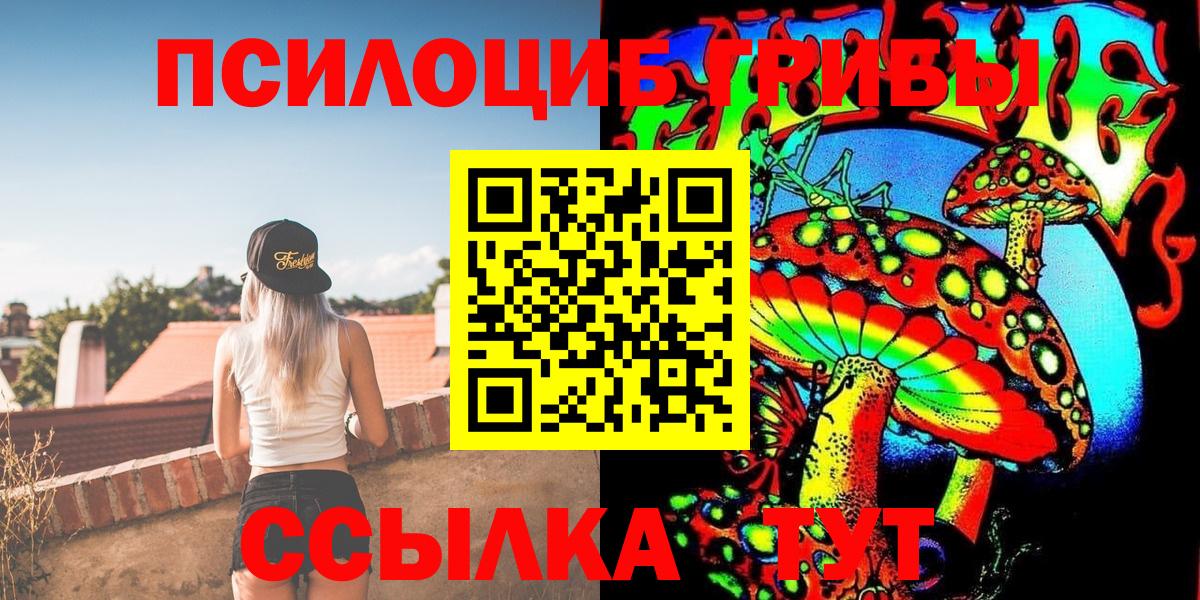 Галлюциногенные грибы Psilocybine cubensis Армавир