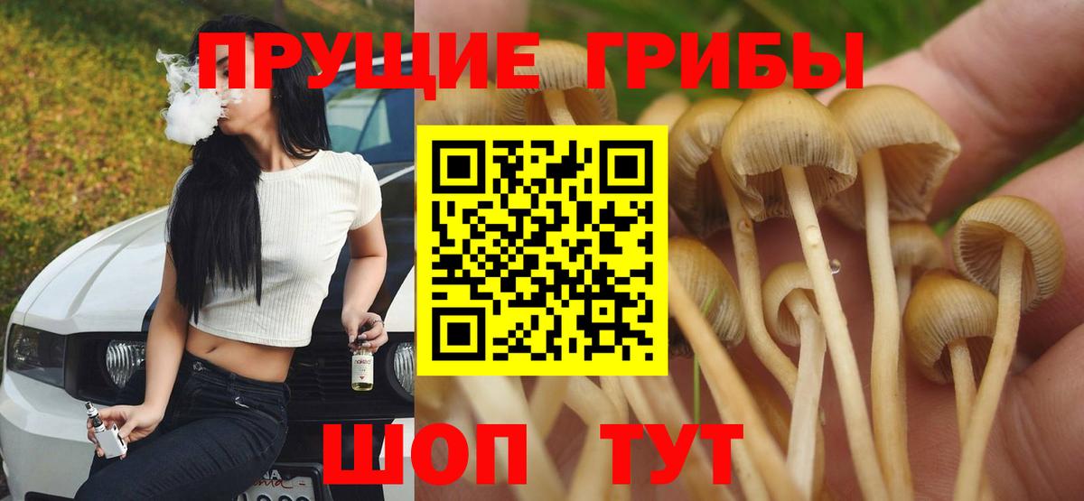 Галлюциногенные грибы Psilocybine cubensis  Вход с VPN  Армавир 
